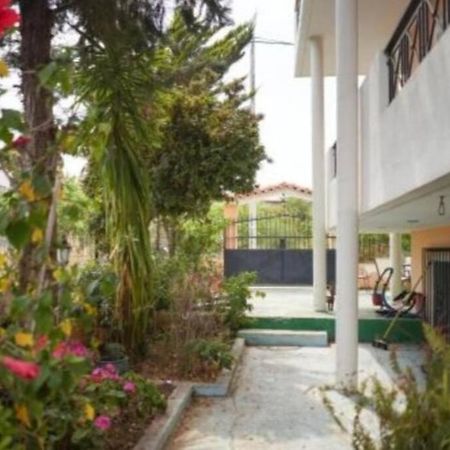 George 'S Nest Apartman Ájosz Szpirídon Kültér fotó